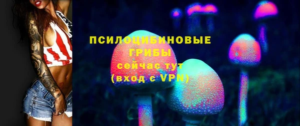 ГАЛЛЮЦИНОГЕННЫЕ ГРИБЫ Лагань