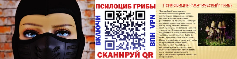 купить   Майкоп  Галлюциногенные грибы Magic Shrooms 