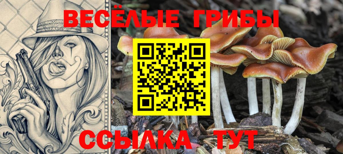 Alpha-PVP Майкоп