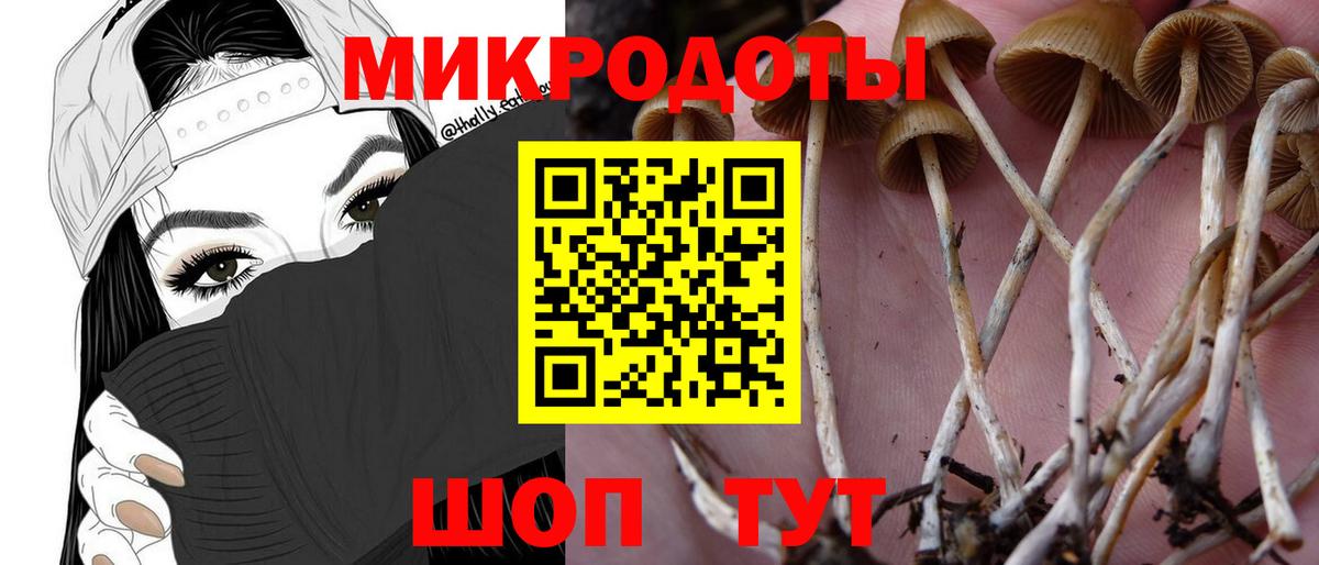 цены наркотик  Вход с VPN  Майкоп  Галлюциногенные грибы Cubensis 